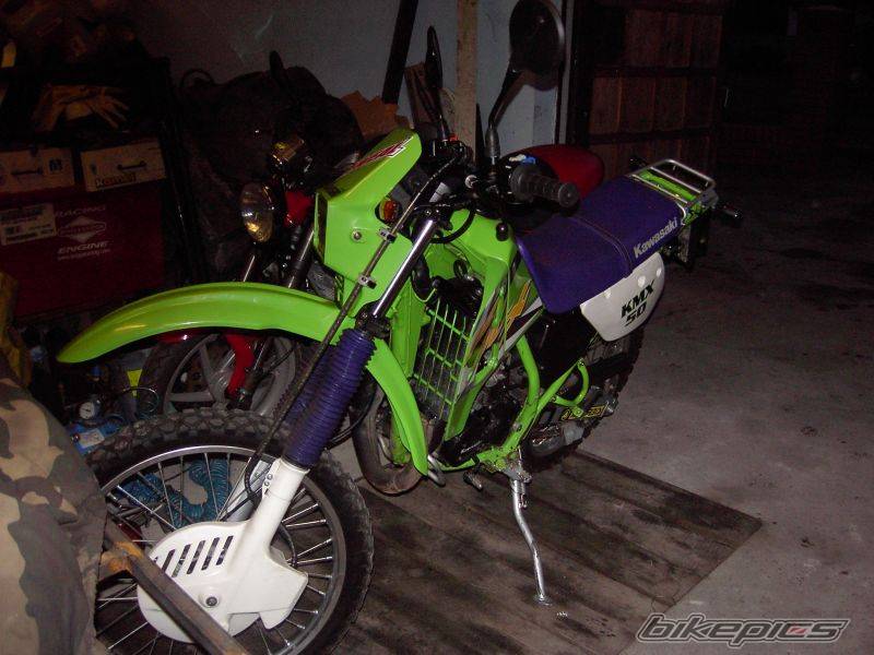Photo 255868