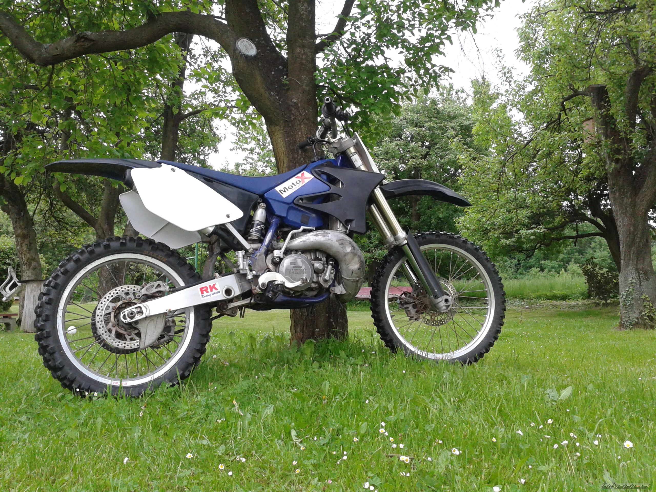 Photo 2558709