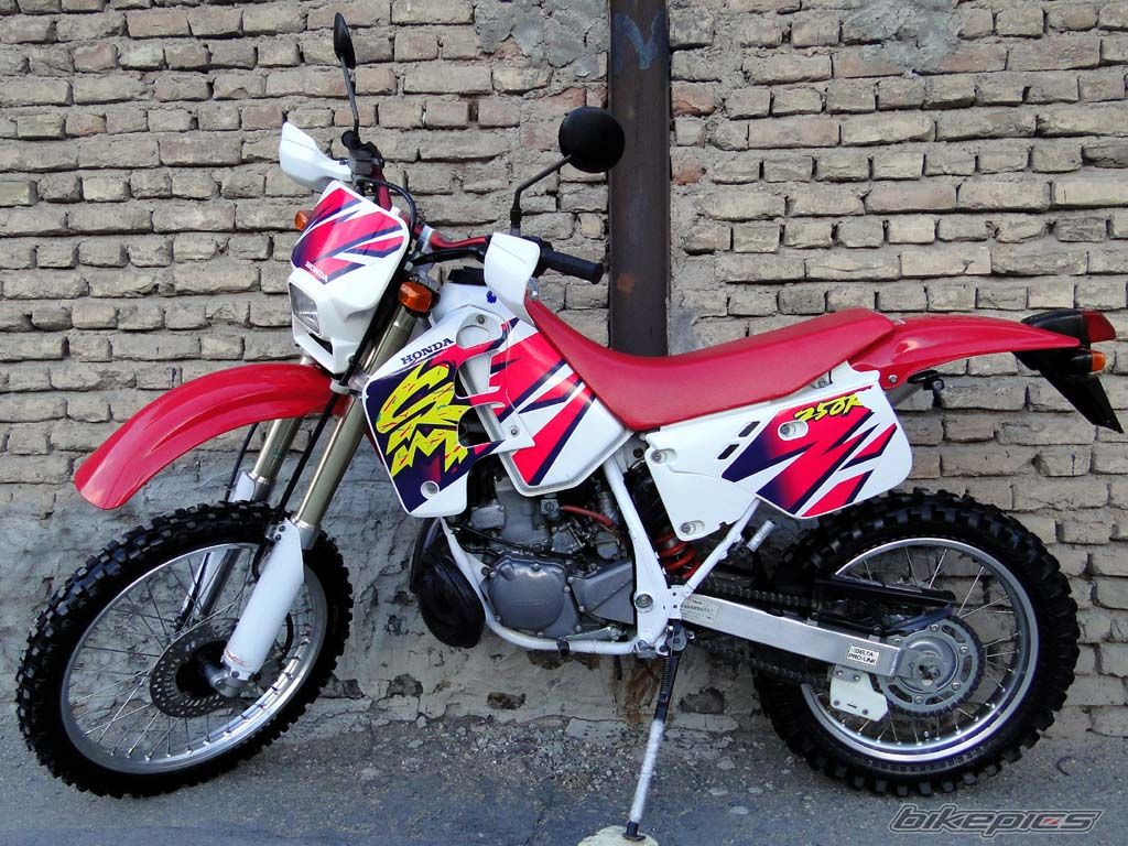 Bike Photo 2558743