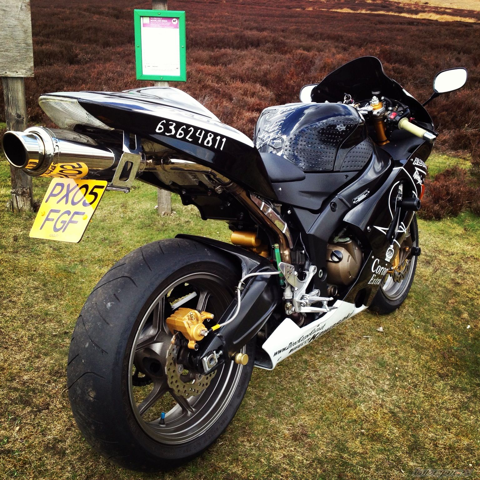 Photo 2558820