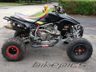 Photo 2558874