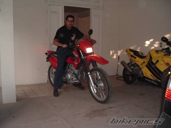Photo 255891