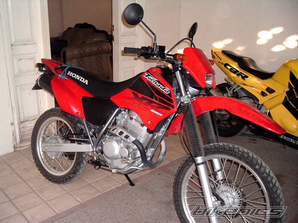 Photo 255892
