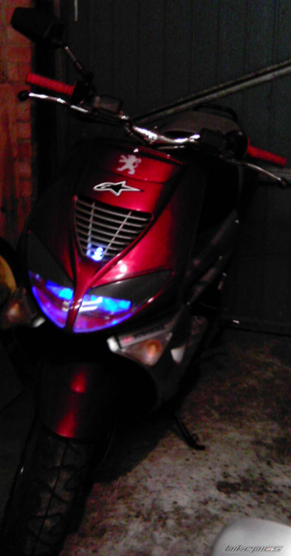 Photo 255896