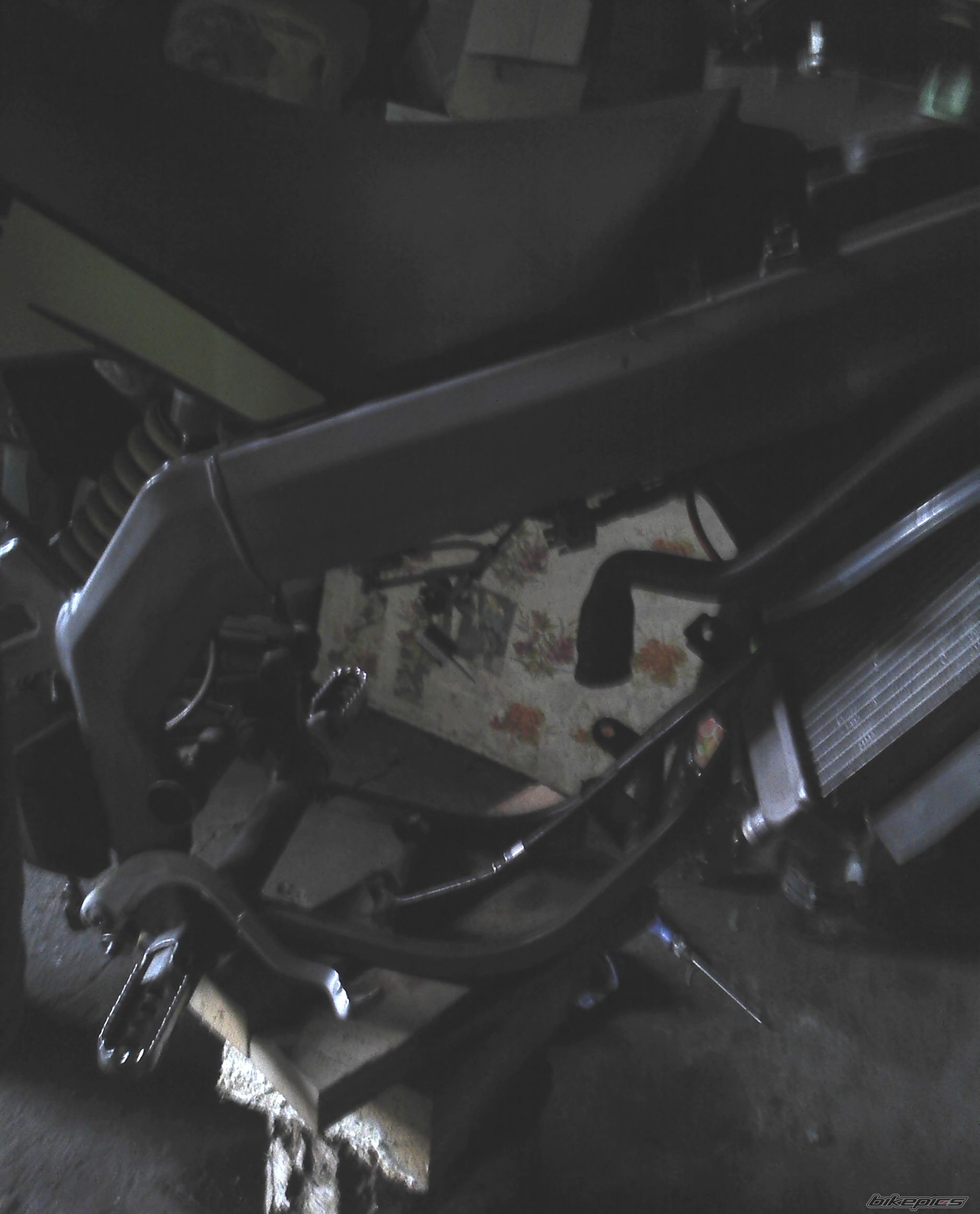 Photo 2558981