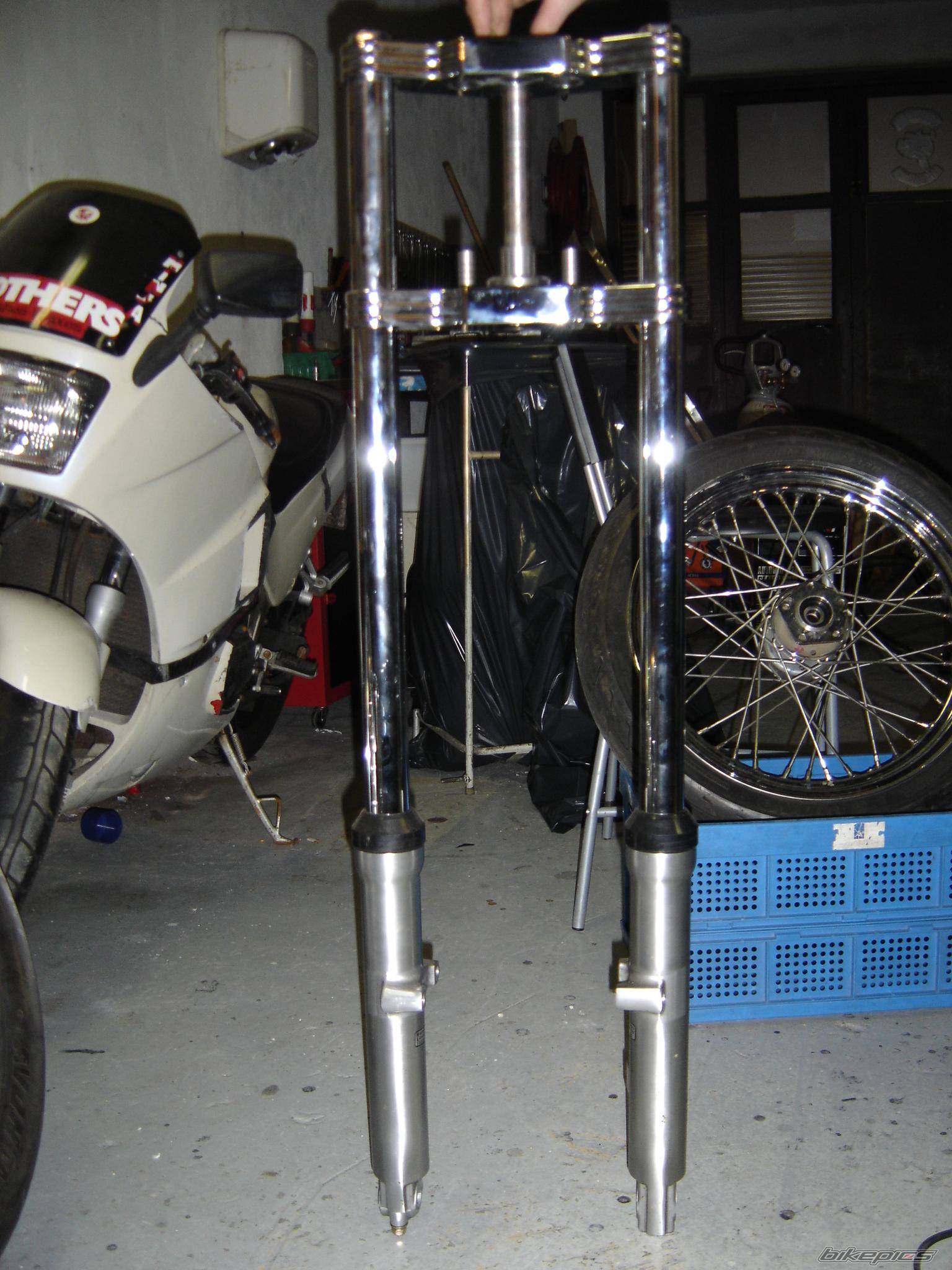 Photo 255903