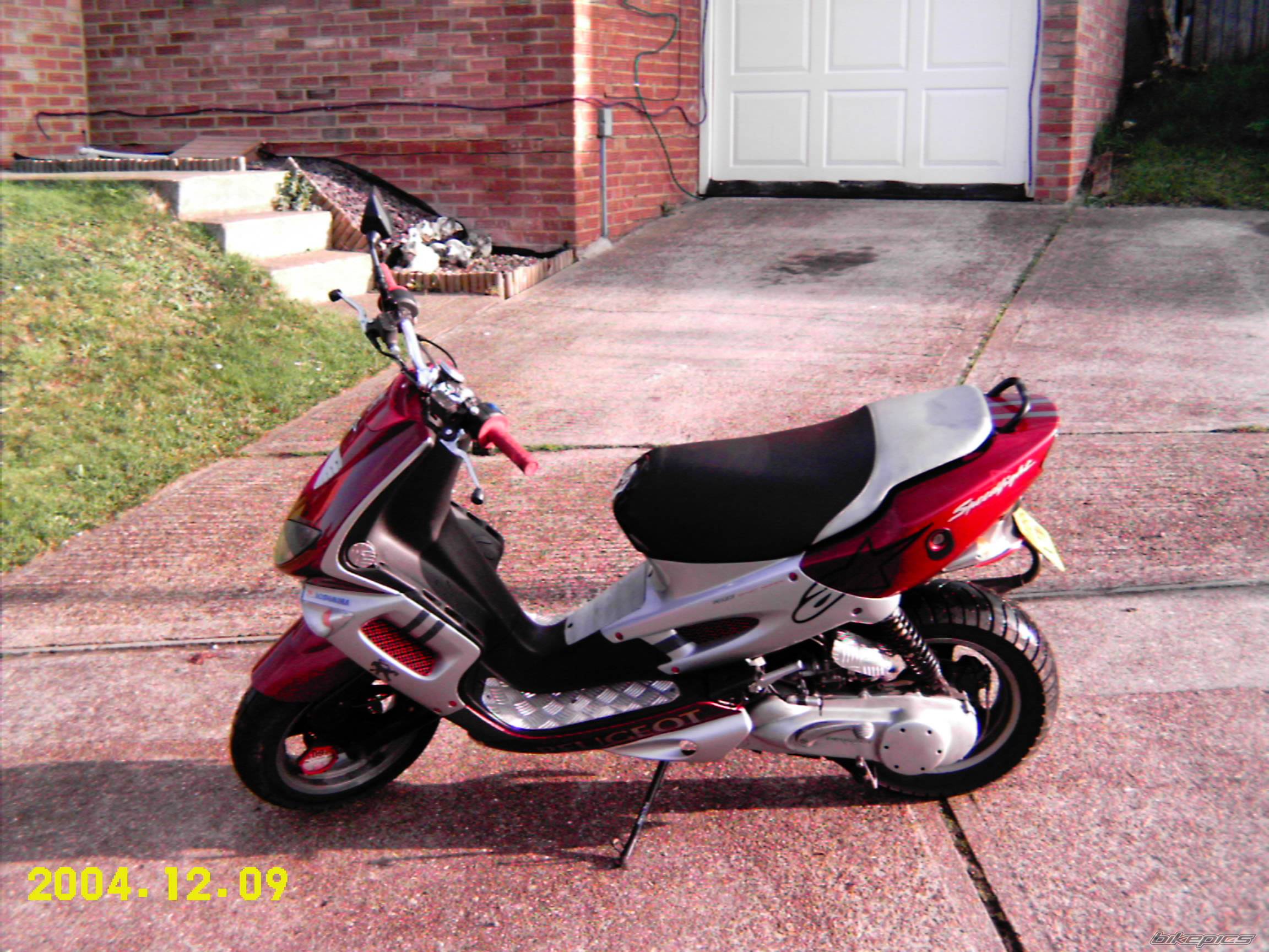 Photo 255905