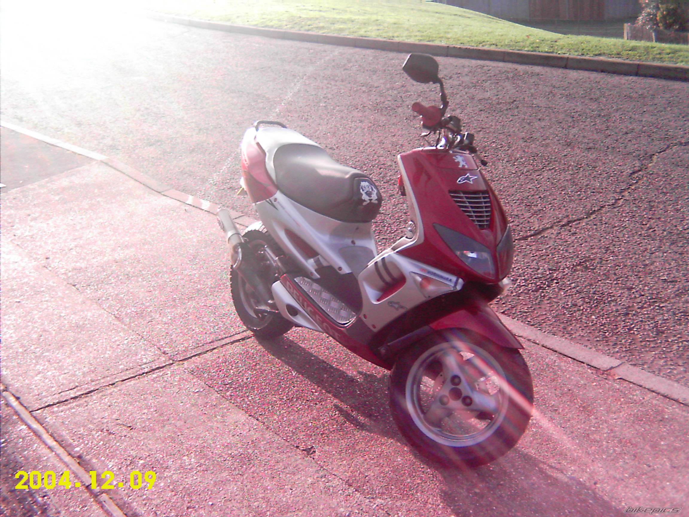Photo 255912