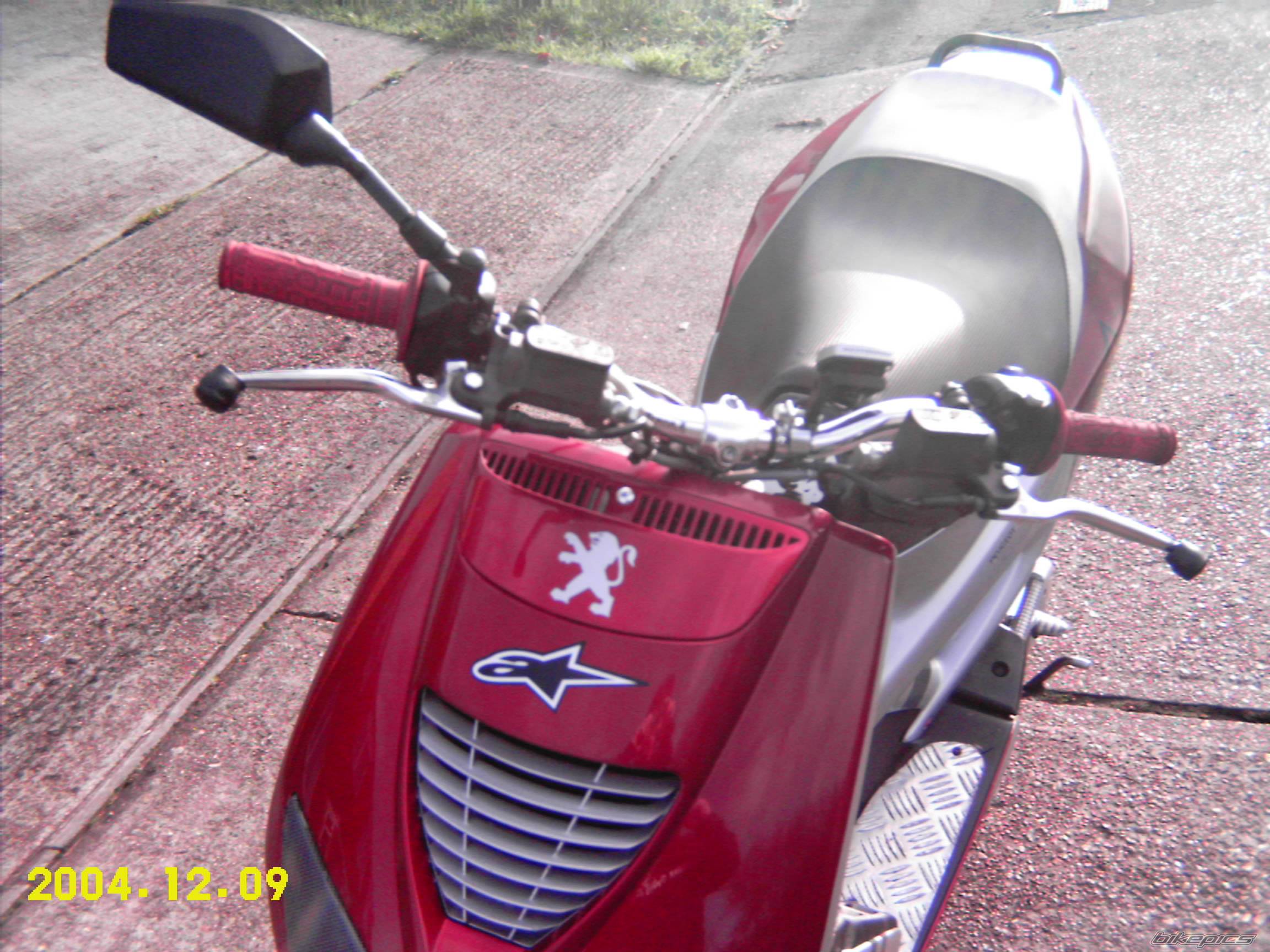 Photo 255916