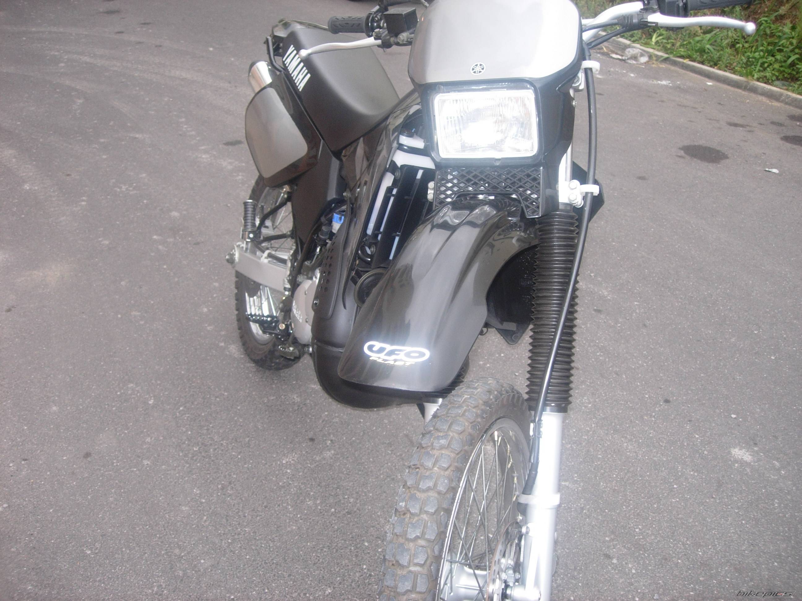 Photo 255921