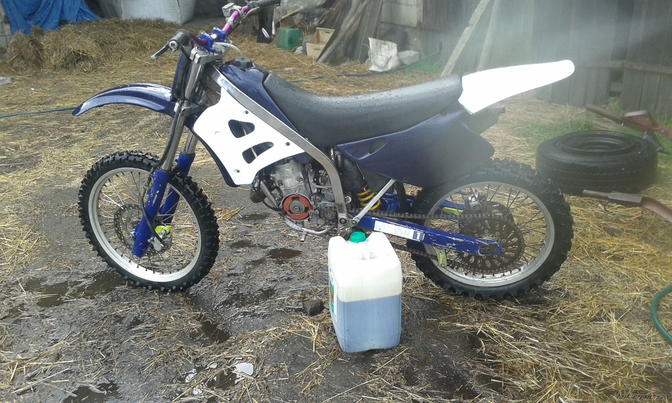 Photo 2559231
