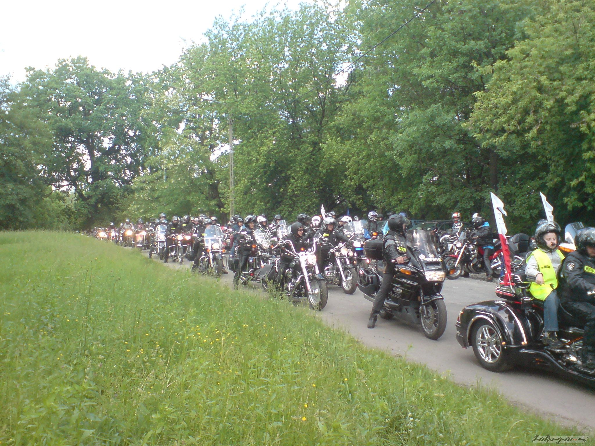 Photo 2559271