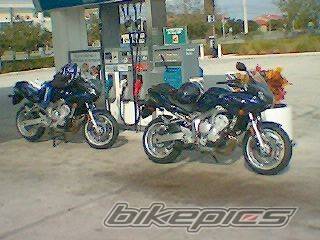 Photo 255936