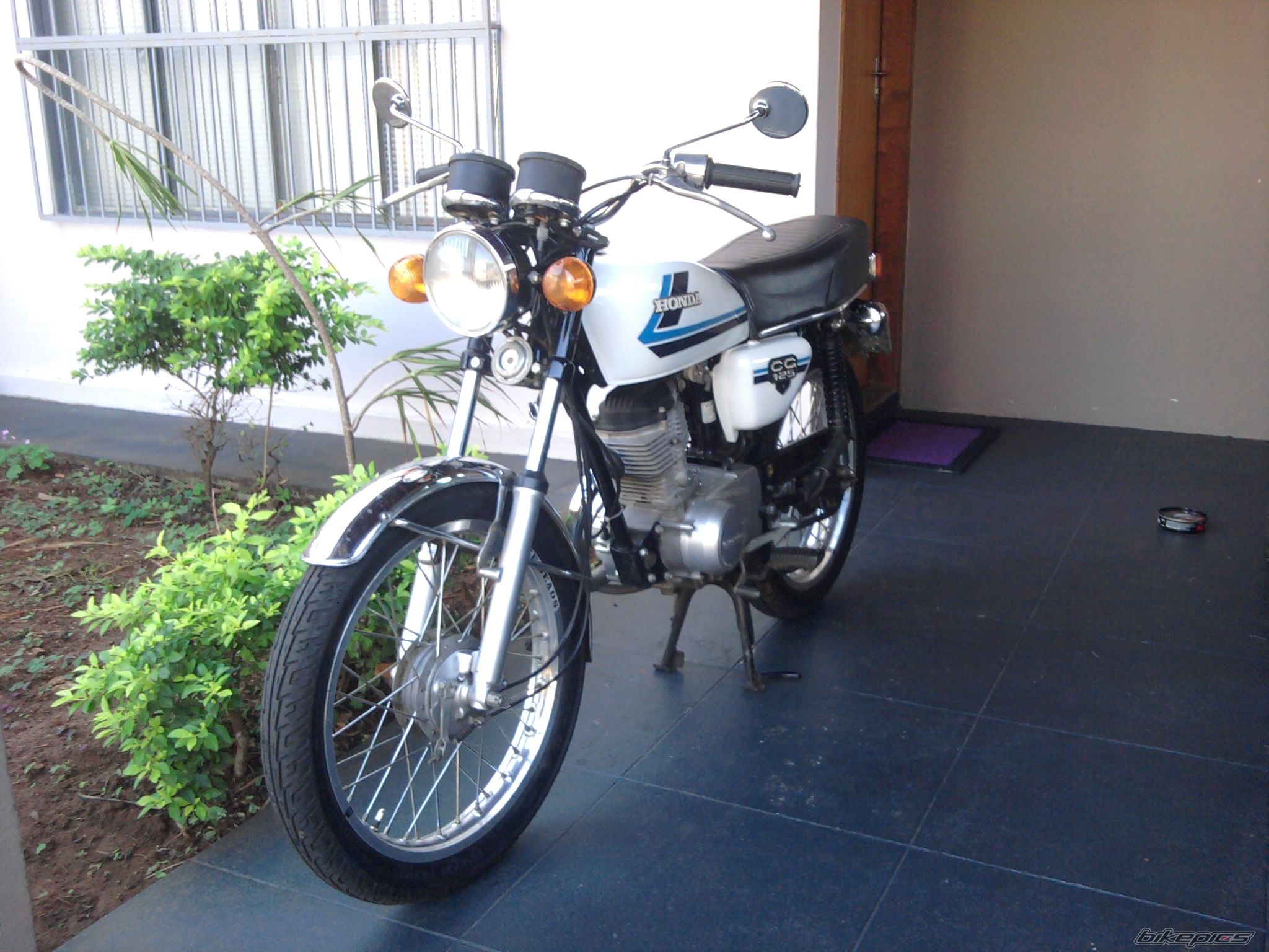 Photo 2559377