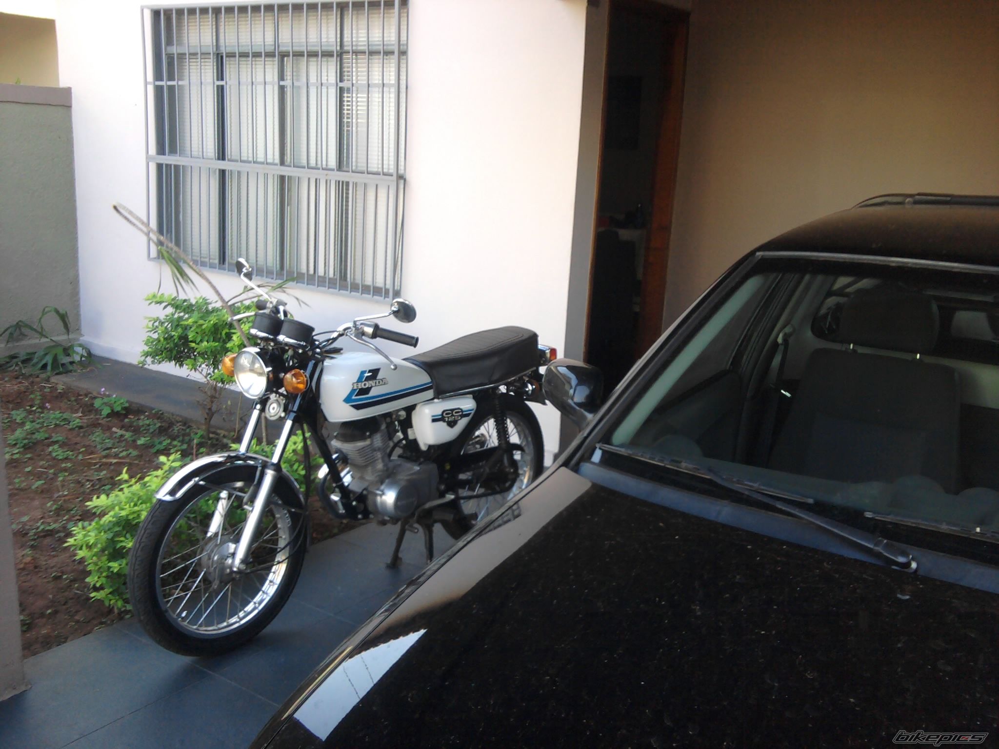 Photo 2559384