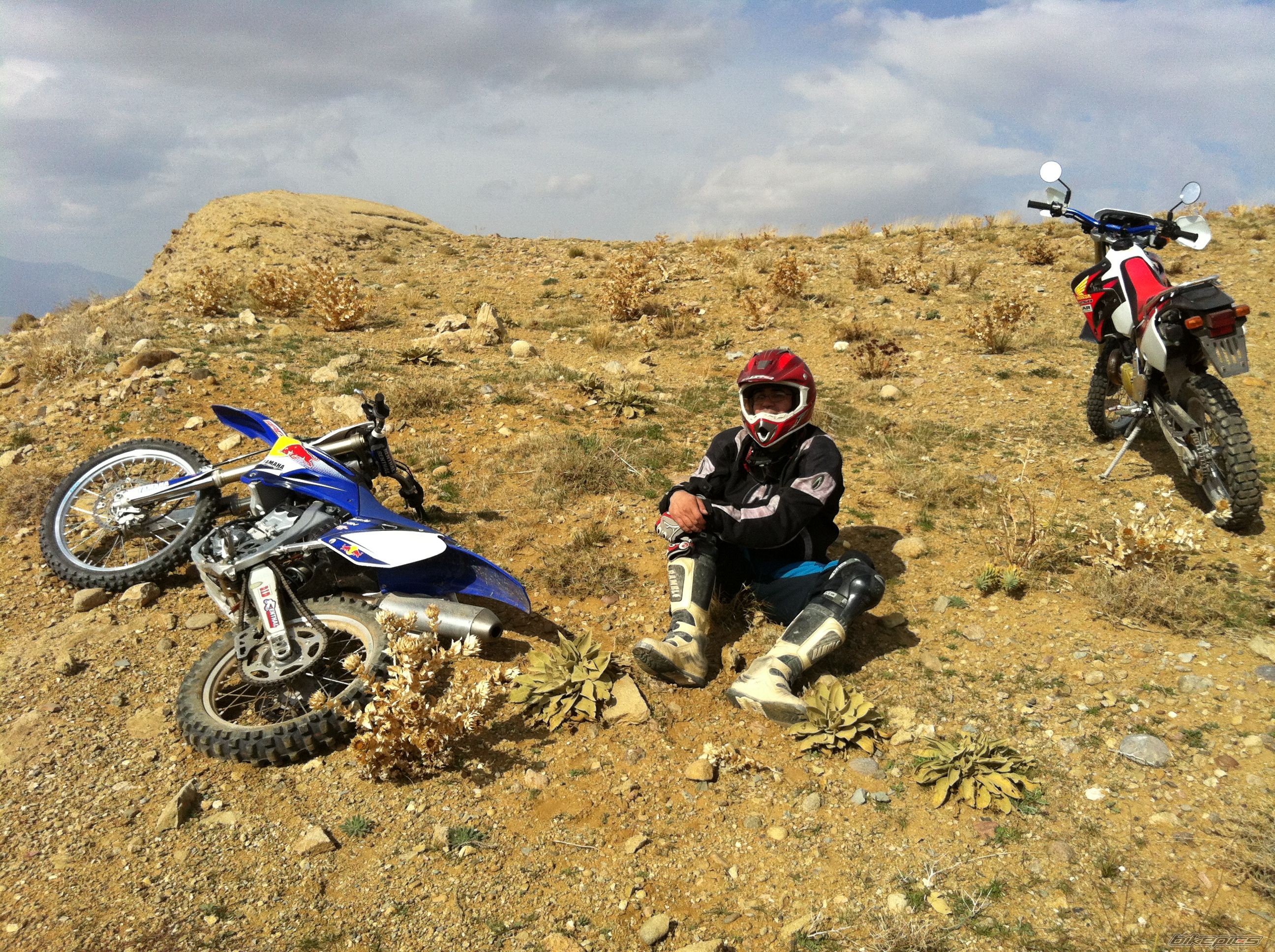 Photo 2559432
