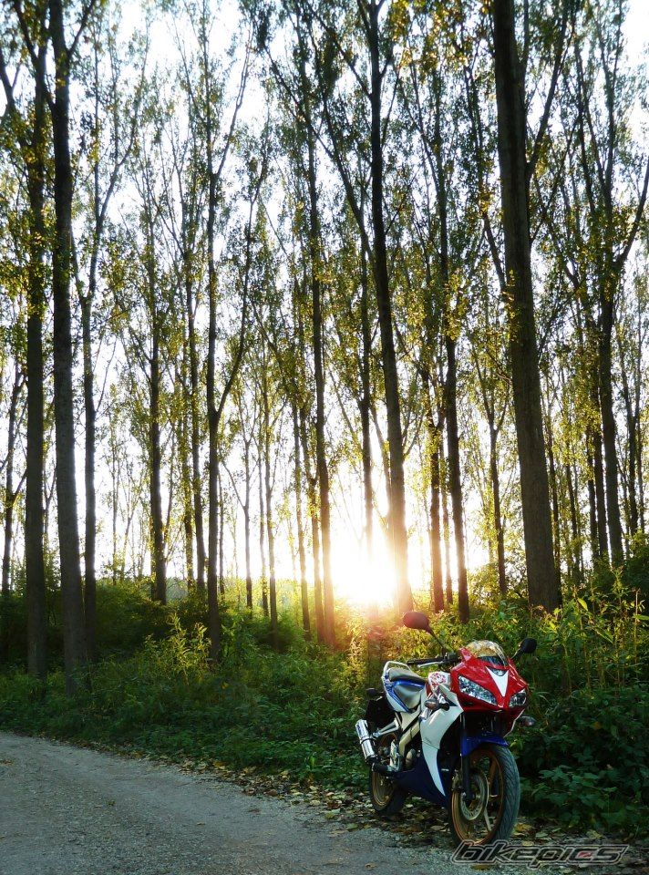 Bike Photo 2559443
