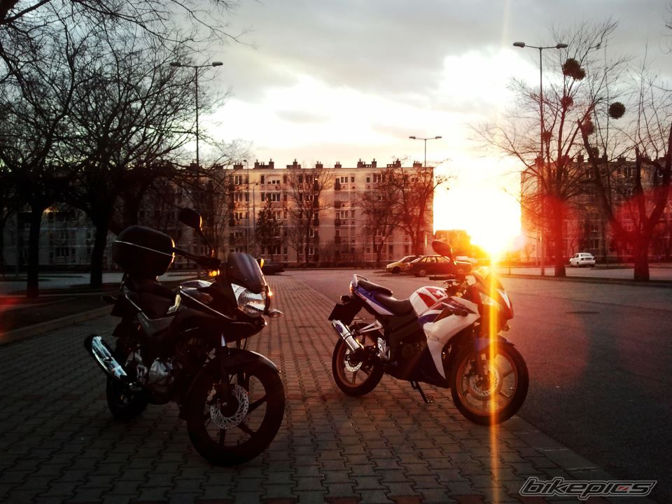 Bike Photo 2559444