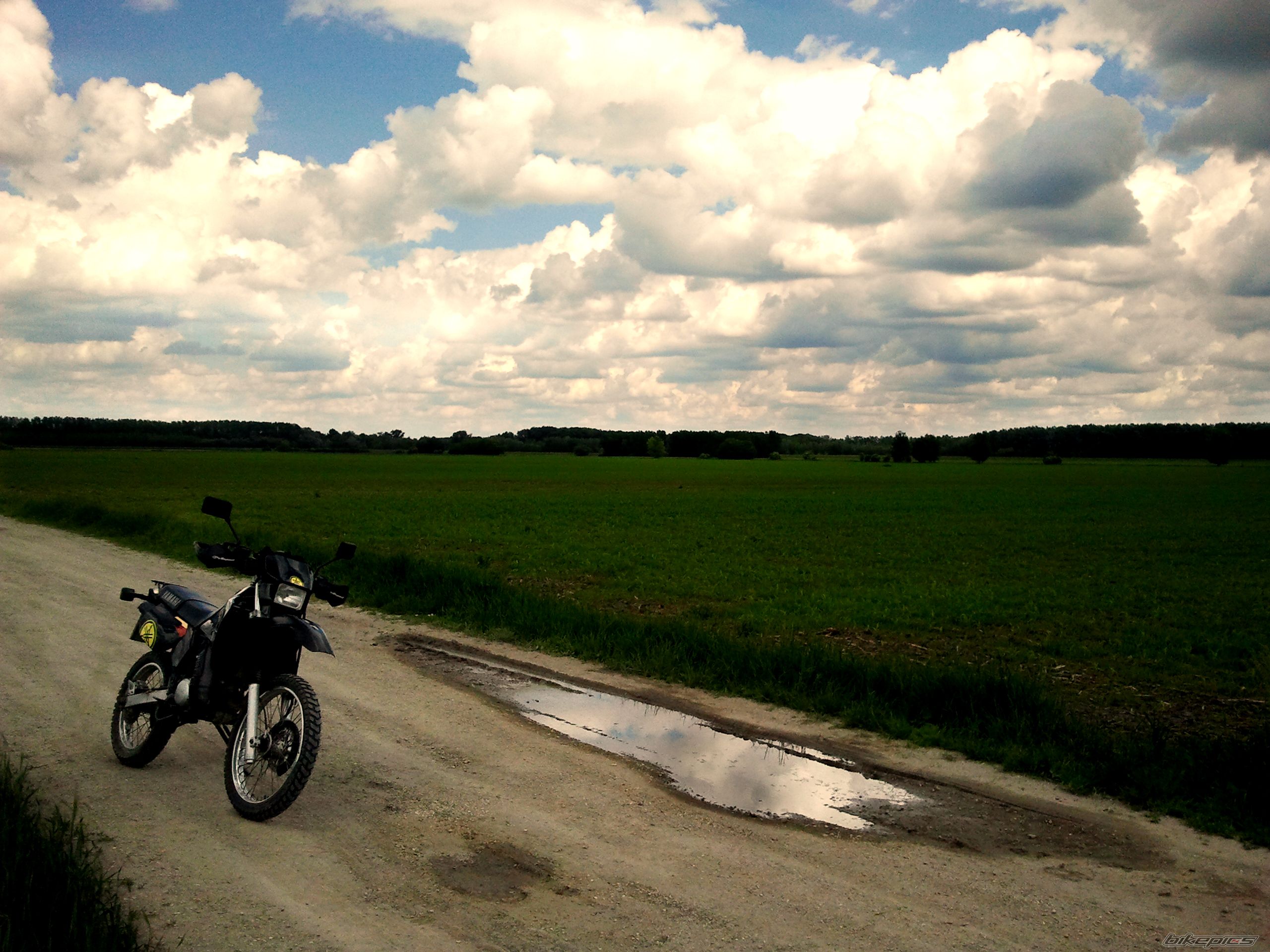 Photo 2559445