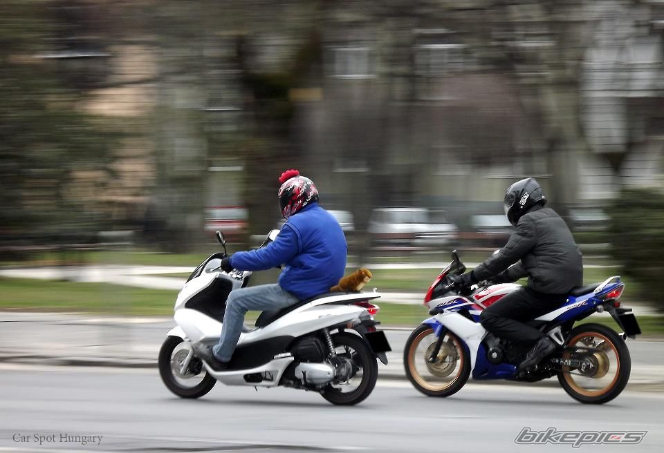 Bike Photo 2559447