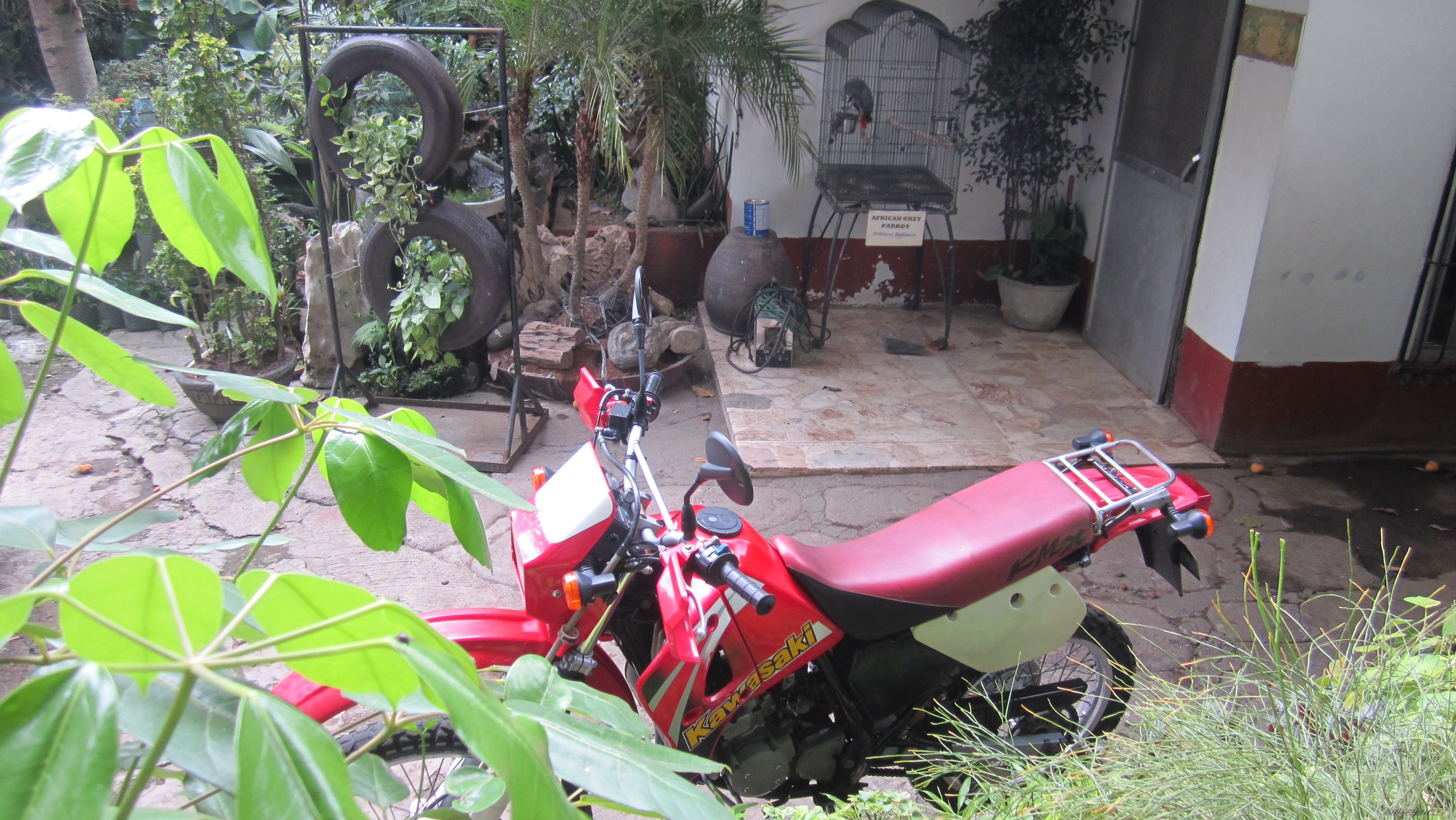 Photo 2559460