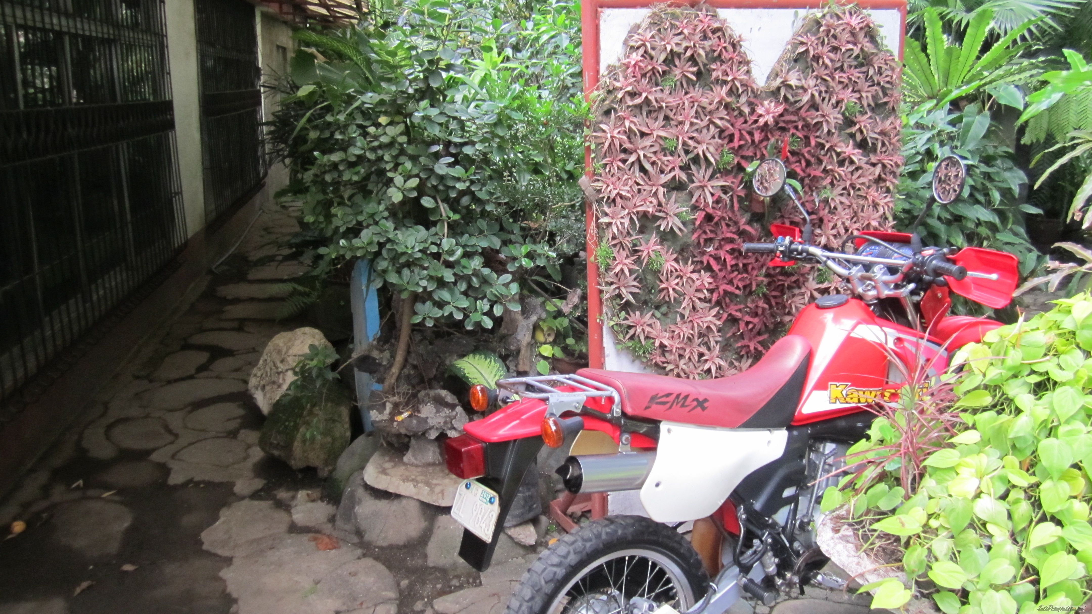Photo 2559462