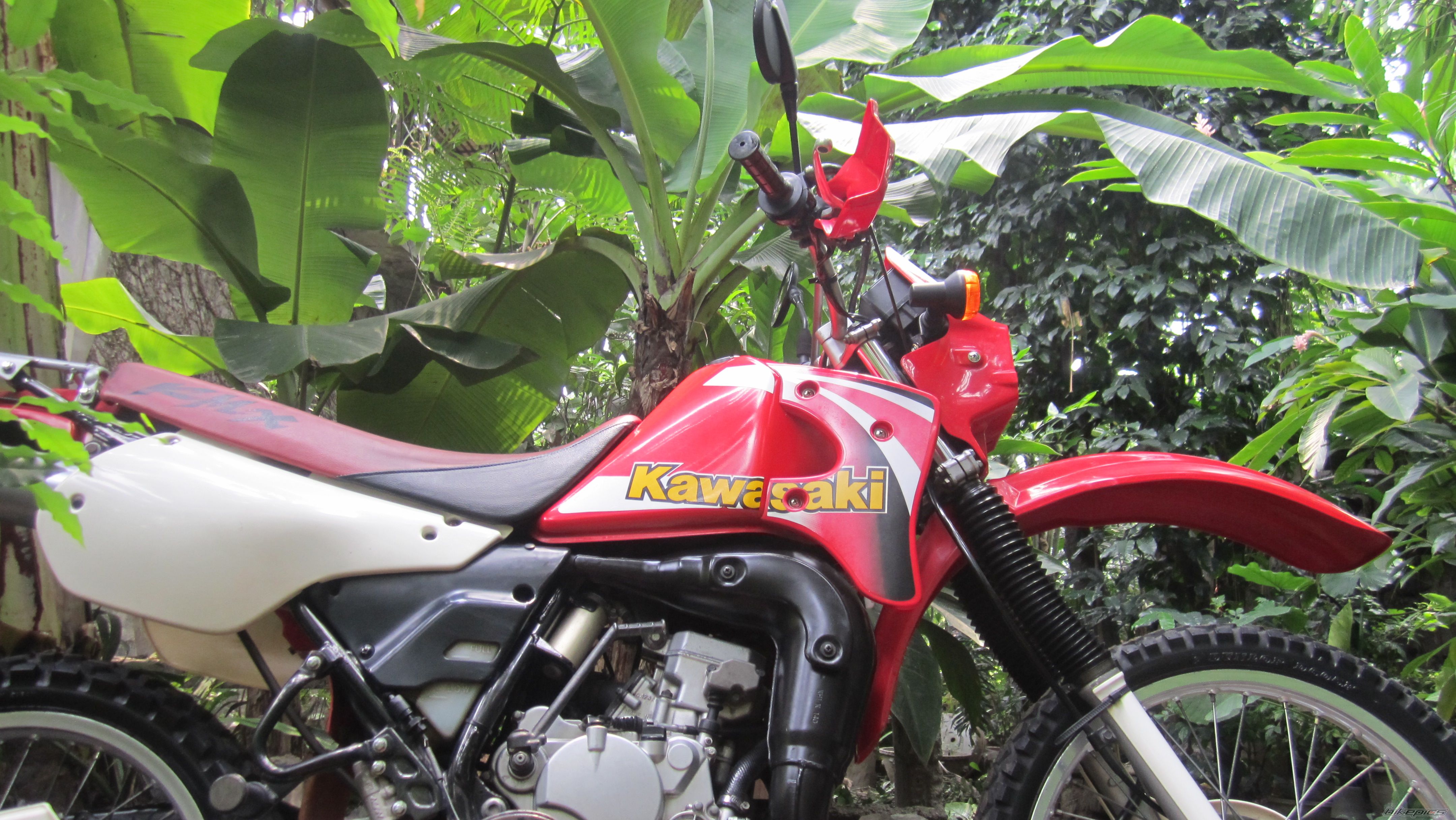 Photo 2559471