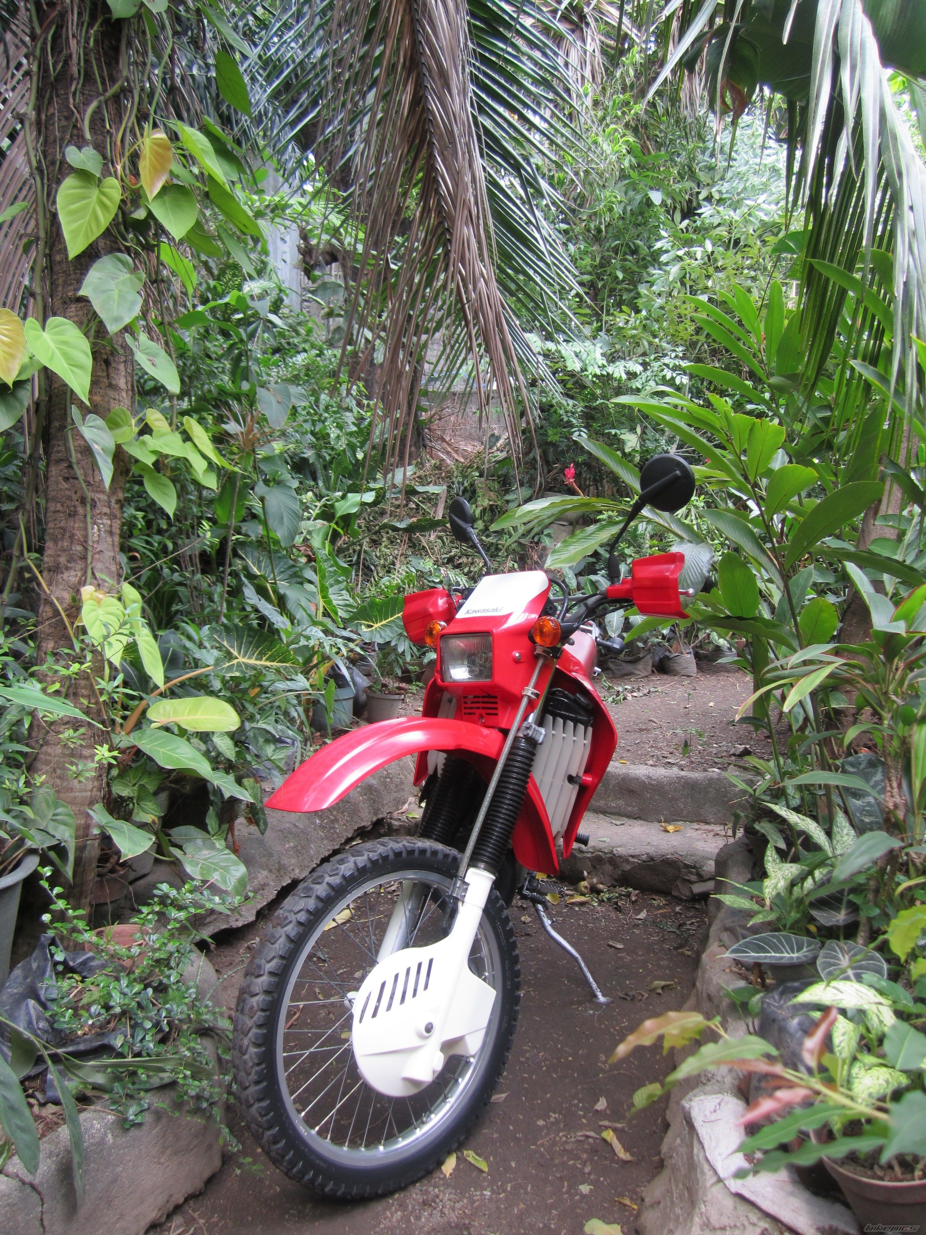 Photo 2559474