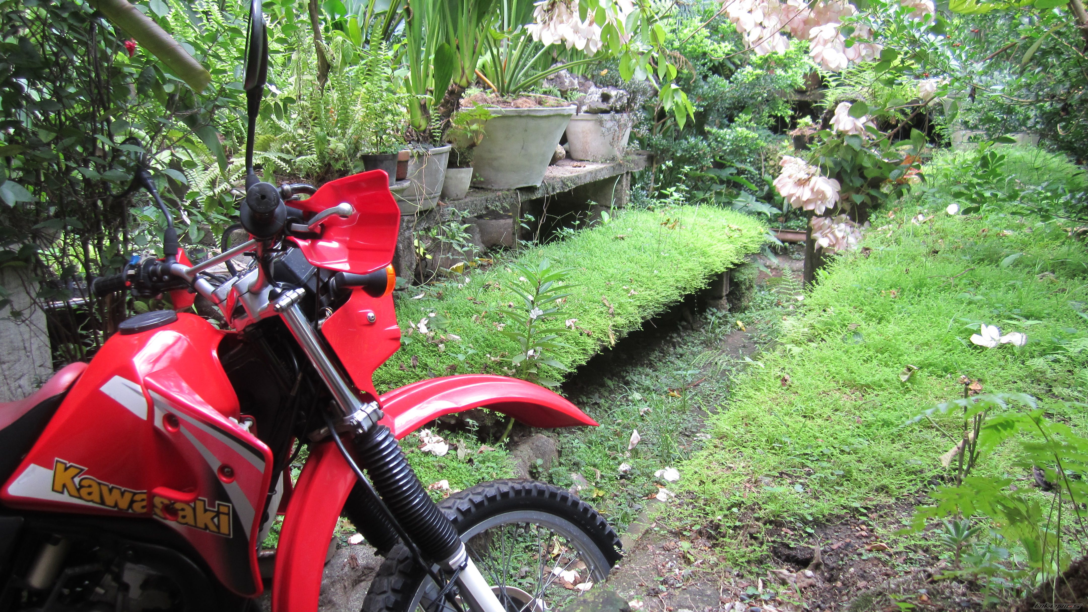 Photo 2559478