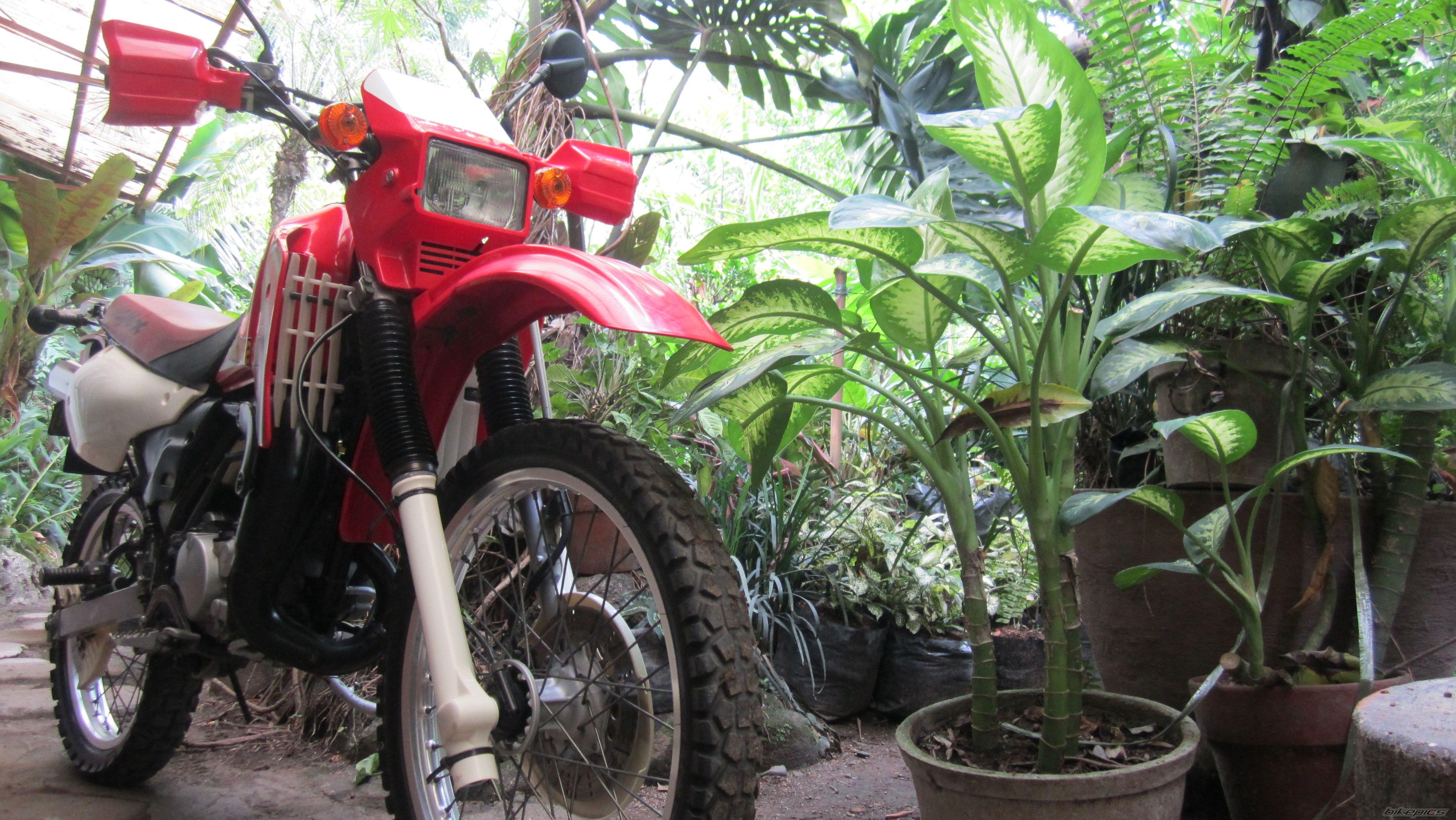 Photo 2559481
