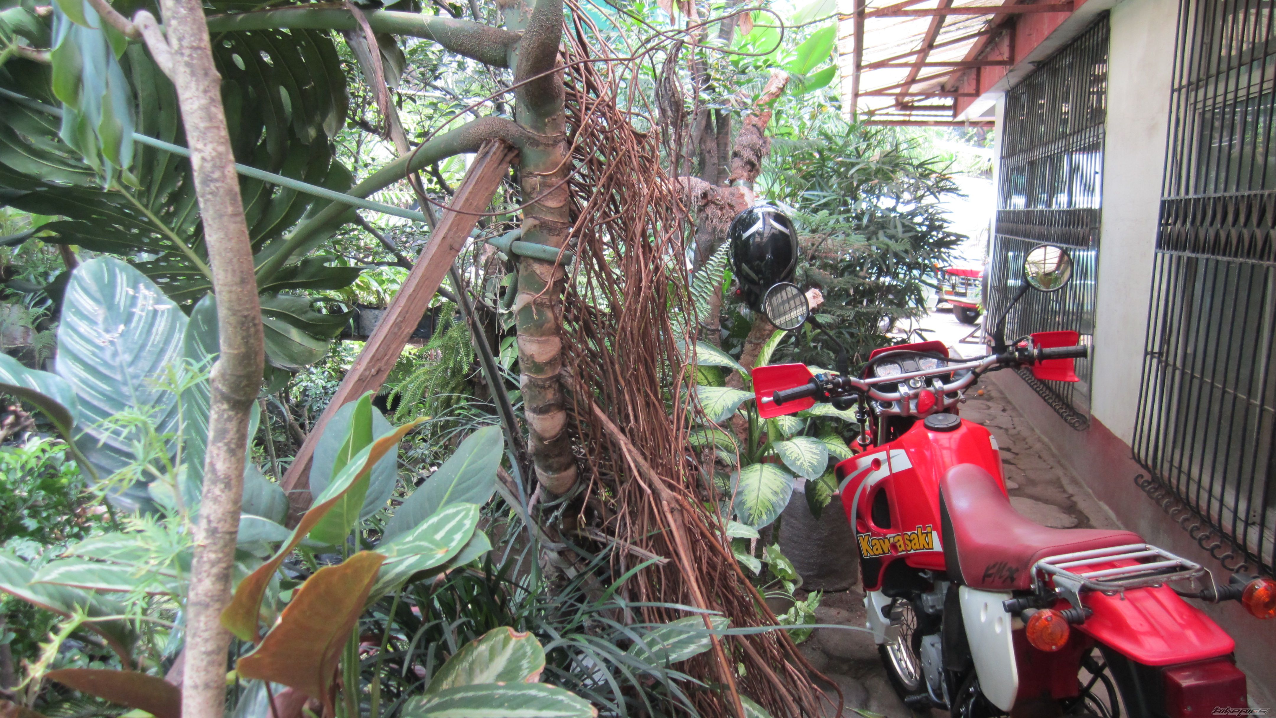 Photo 2559486