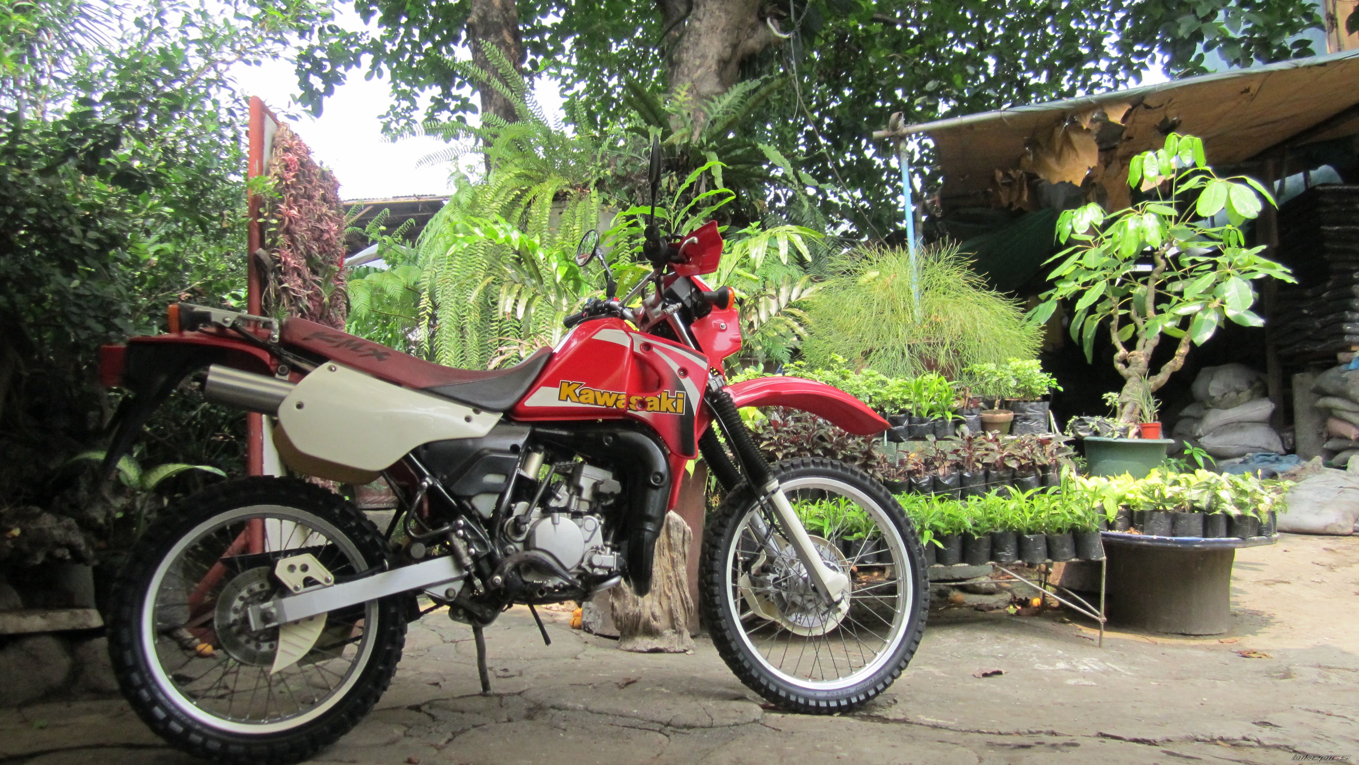 Photo 2559489