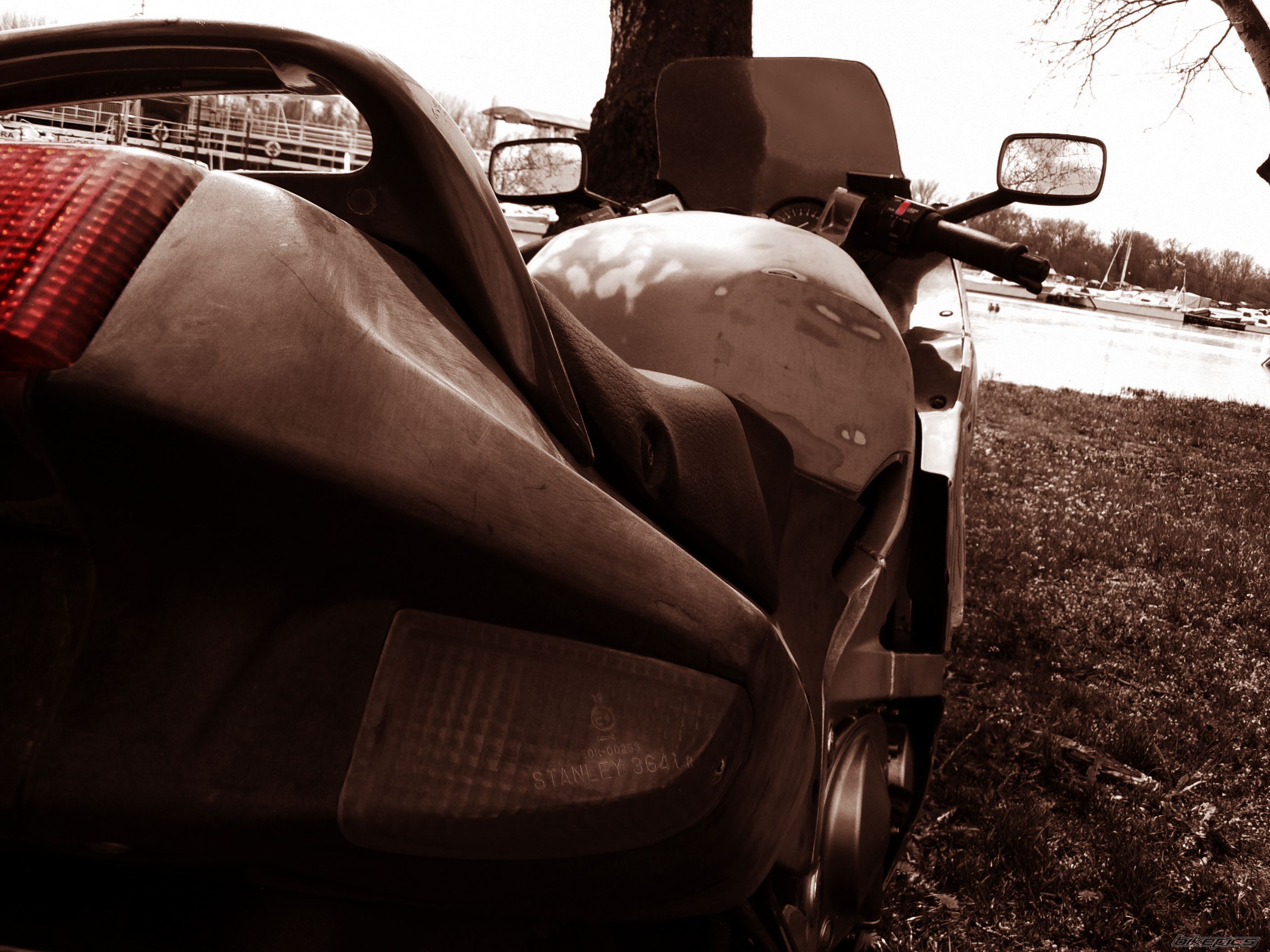 Photo 2559534