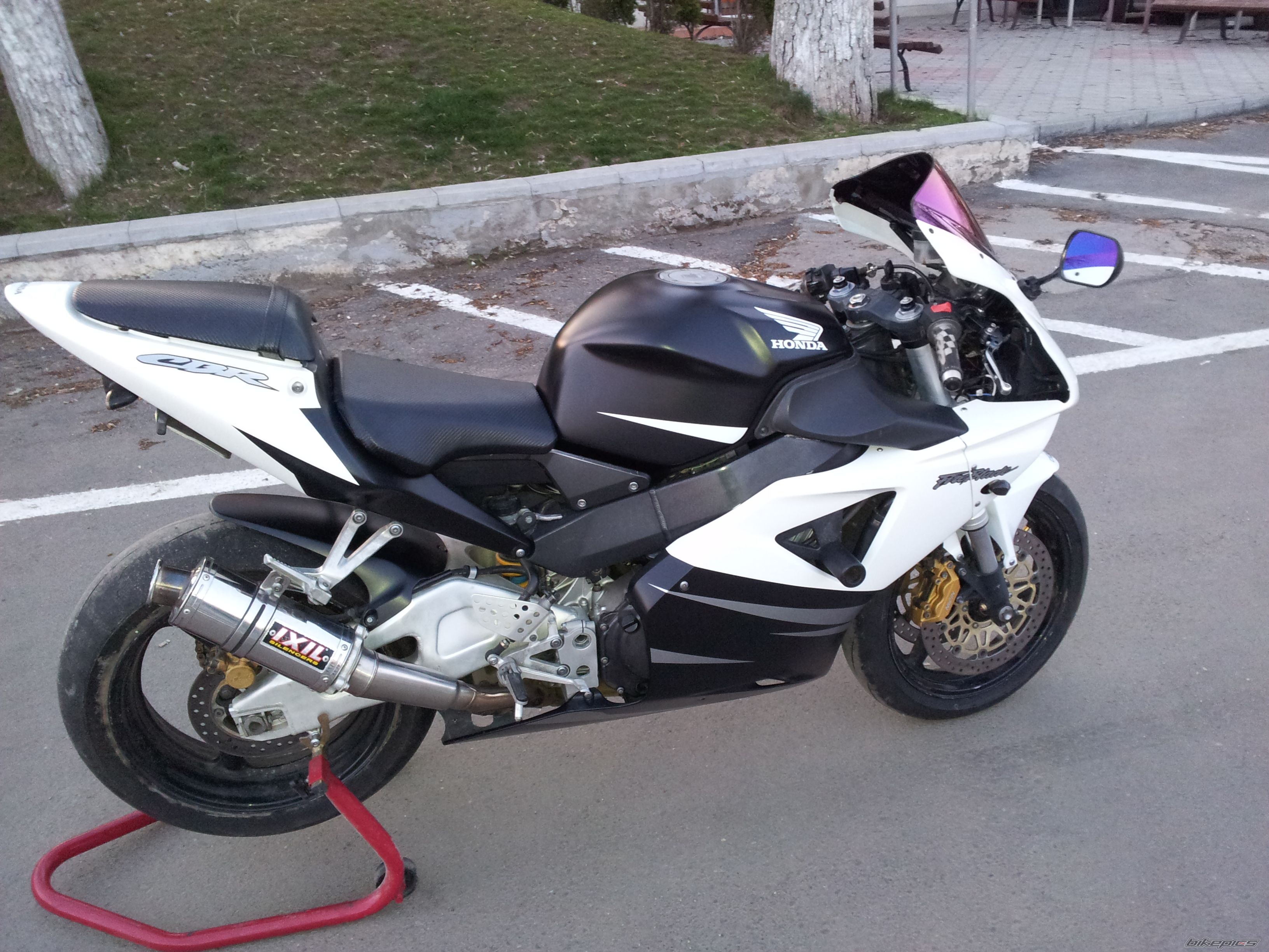Photo 2559545