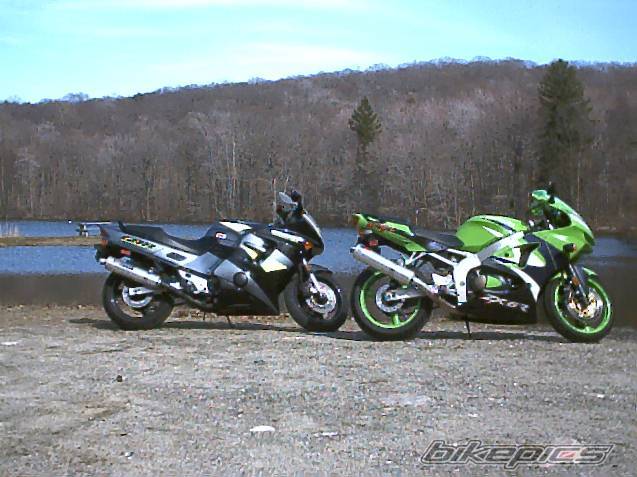 Photo 255964