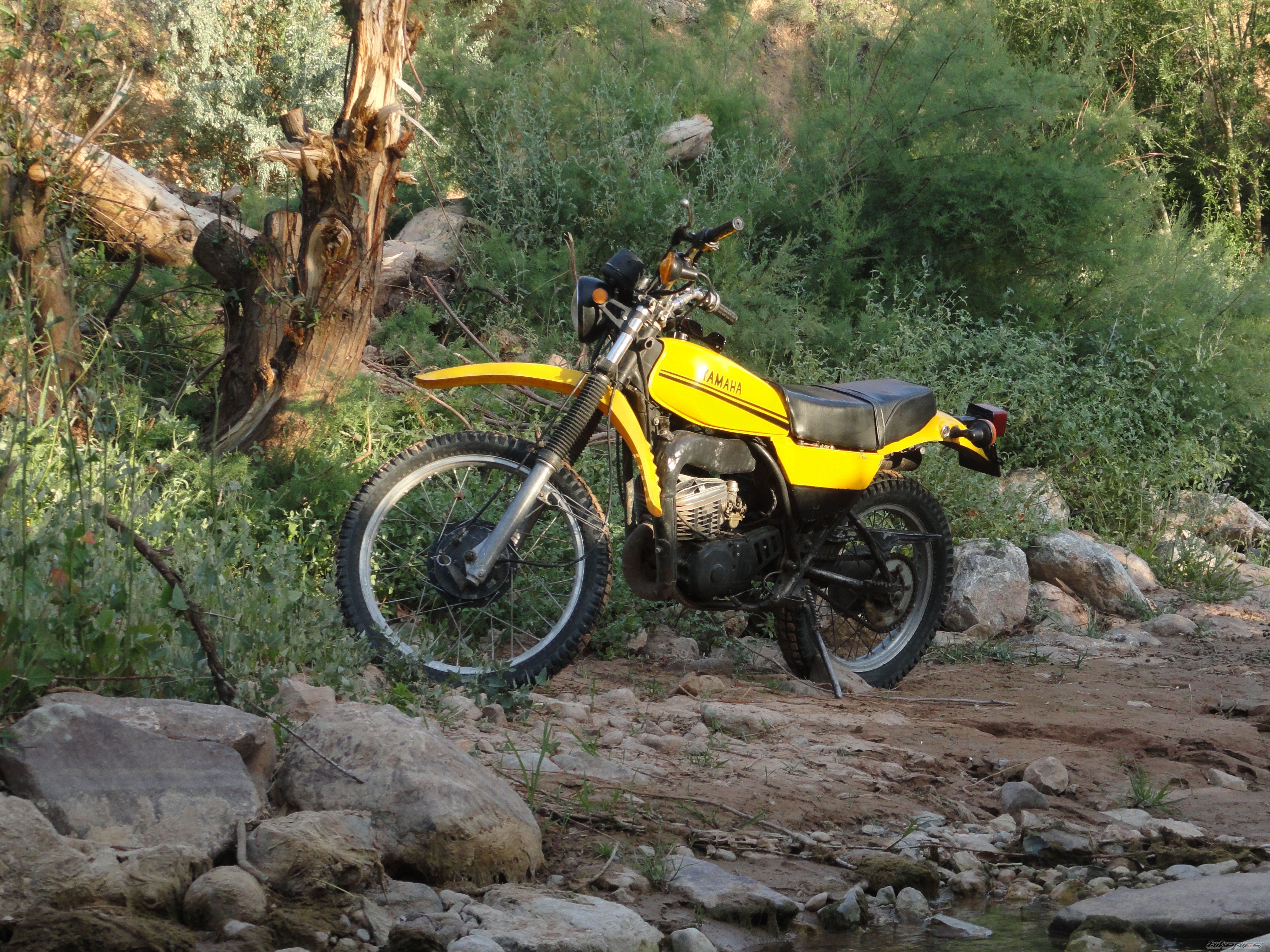 Bike Photo 2559653