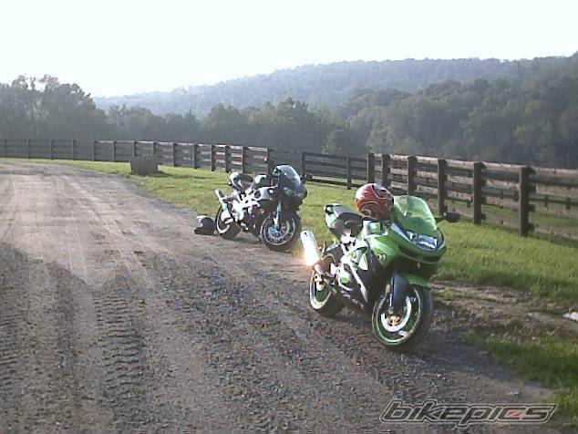 Photo 255975