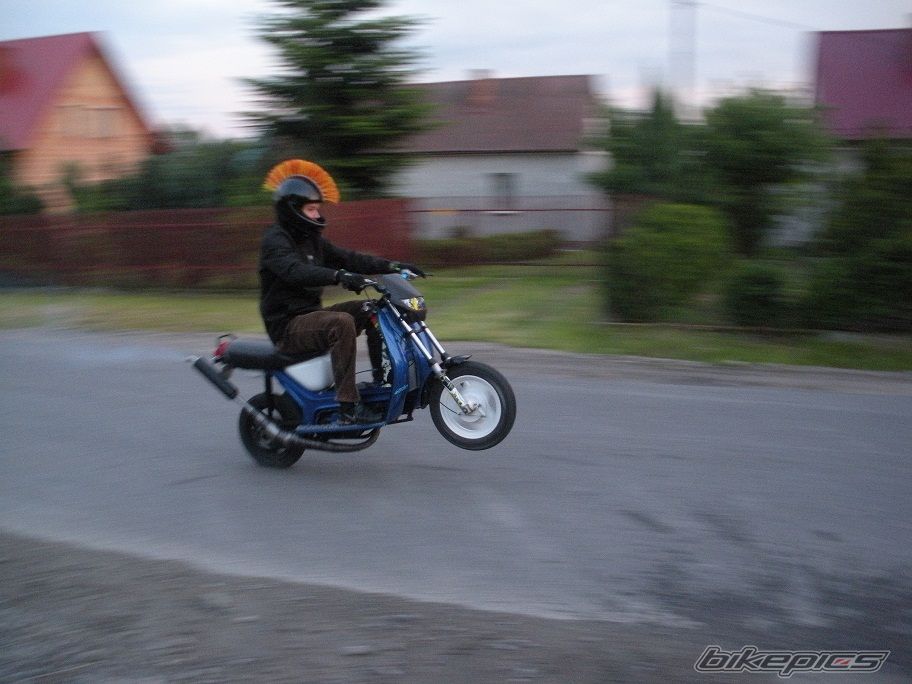 Photo 2559777