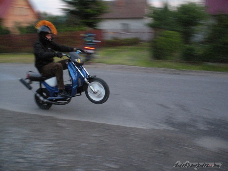 Photo 2559779