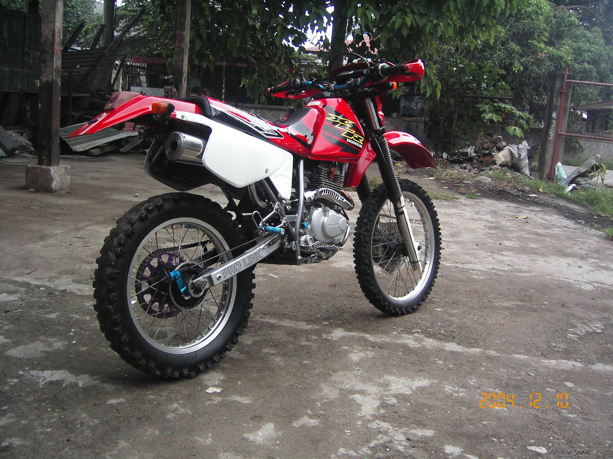Photo 255979