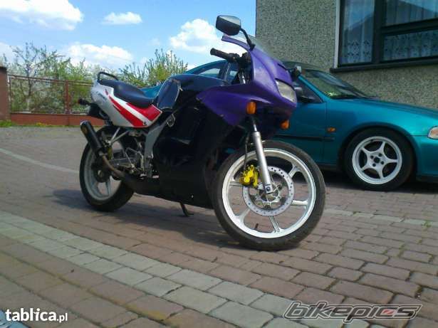 Photo 2559928