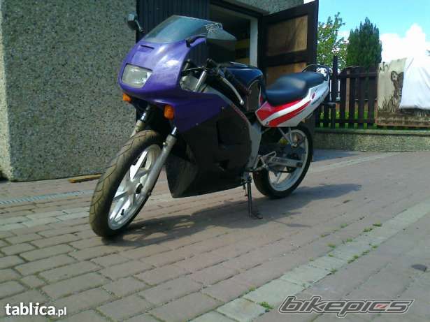 Photo 2559931