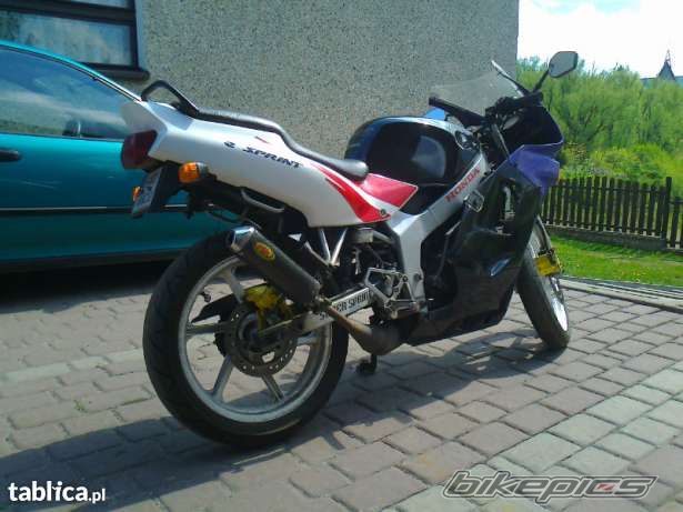 Photo 2559939