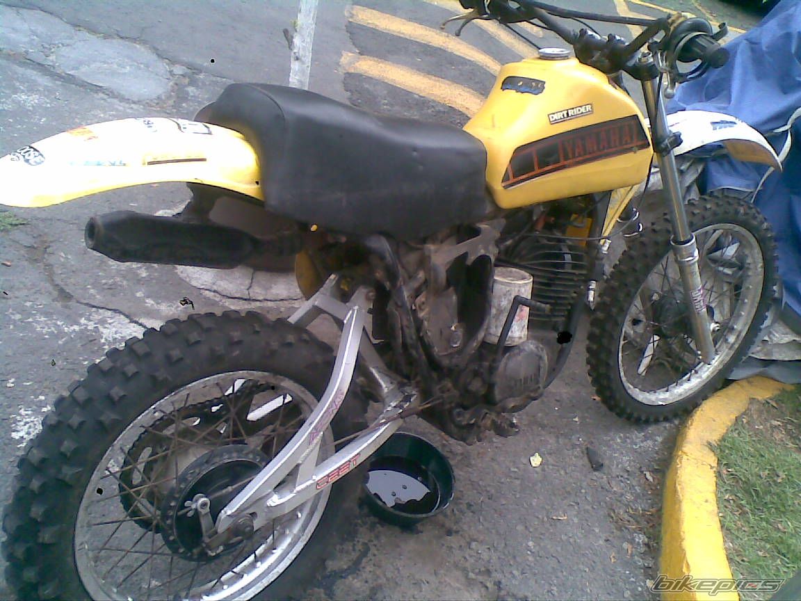 Photo 2560033