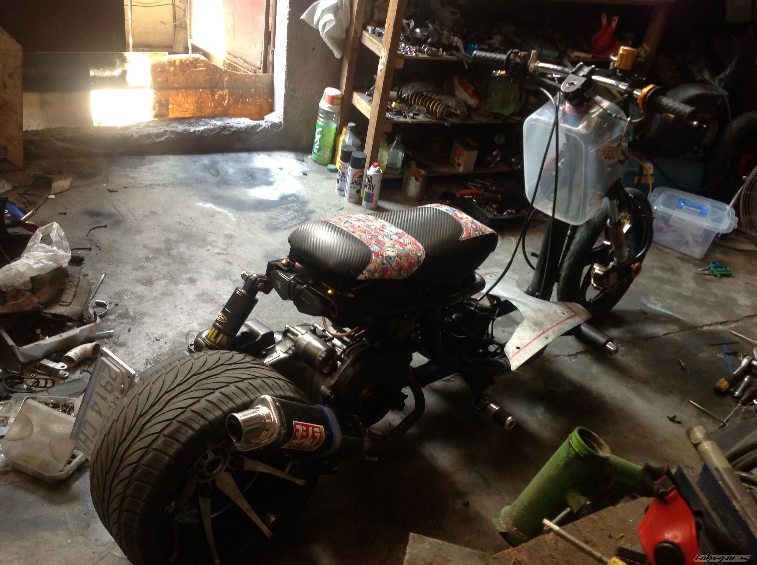 Photo 2560070