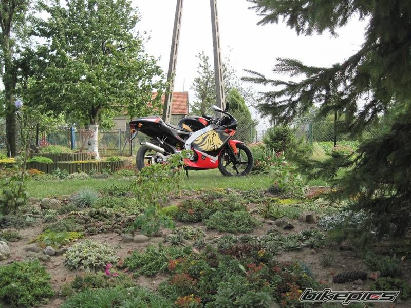 Photo 2560173