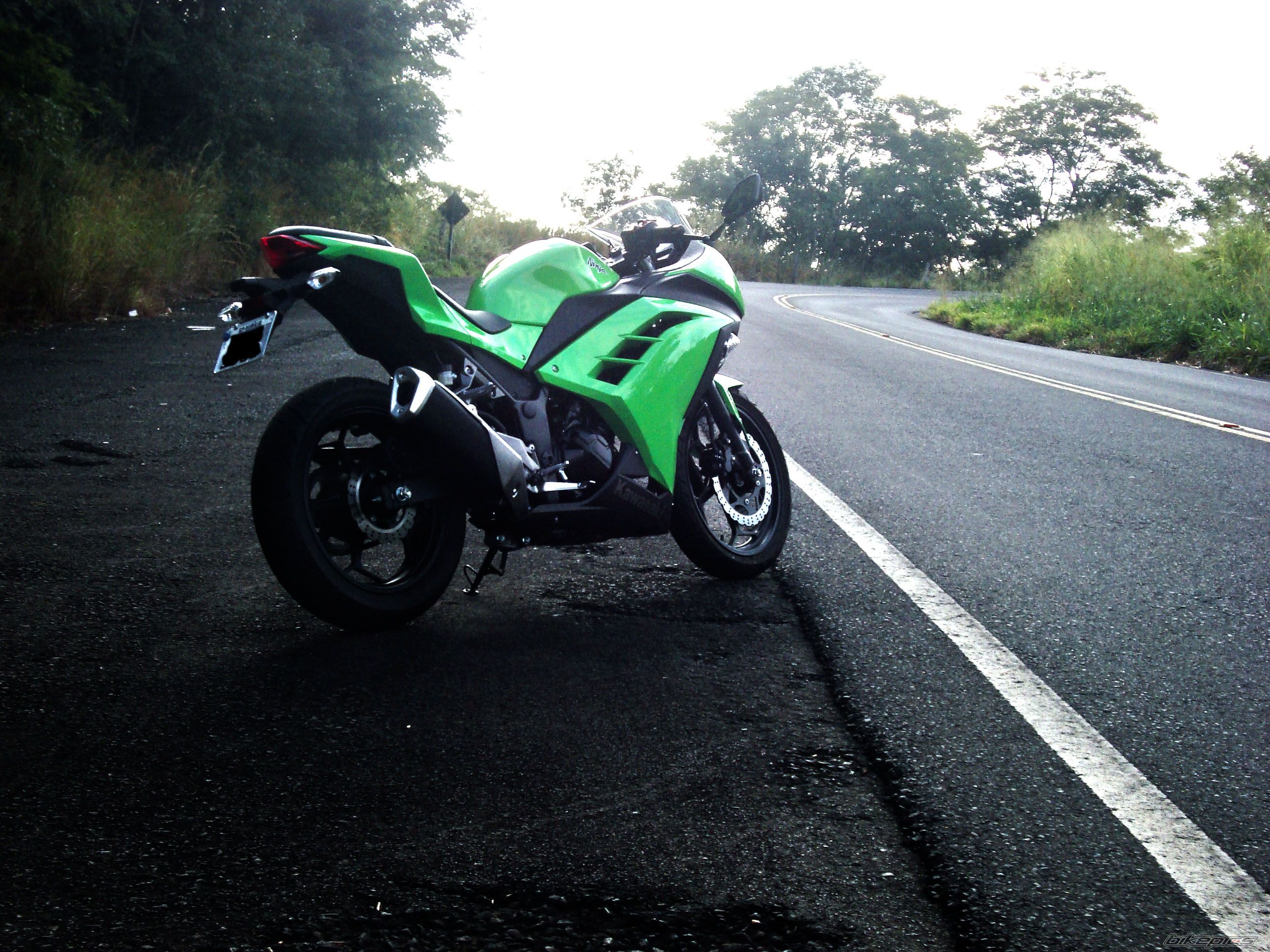 Photo 2560339