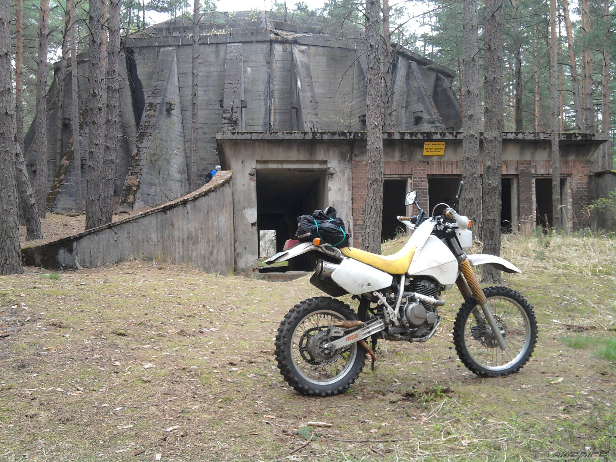 Bike Photo 2560359