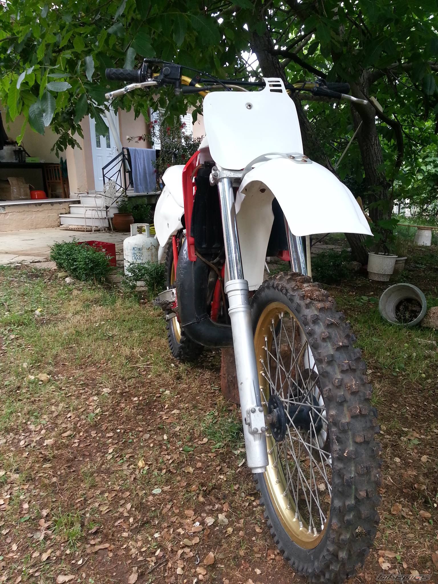 Photo 2560411