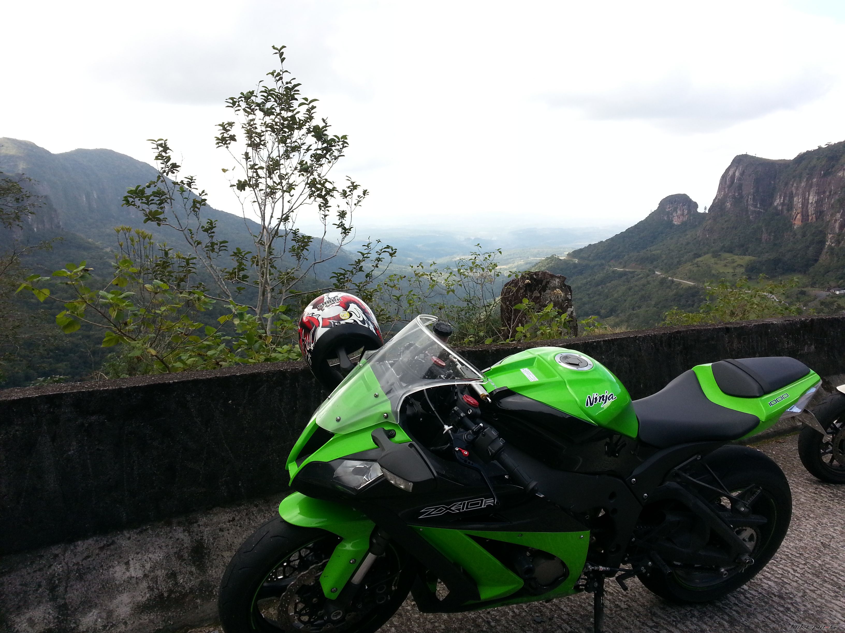 Photo 2560523